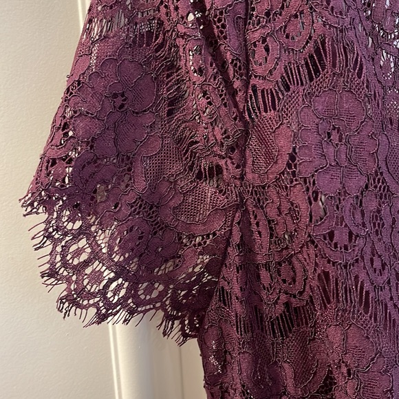 Betsy & Adam lace A-line dress with tulle in auburn (deep burgundy) size 12 - Picture 8 of 11